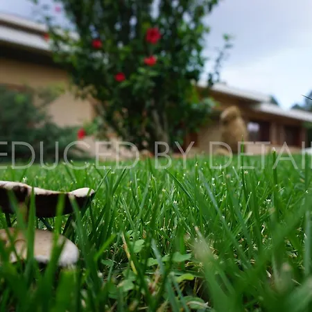 Art Del Poggio ゲストハウス 3*