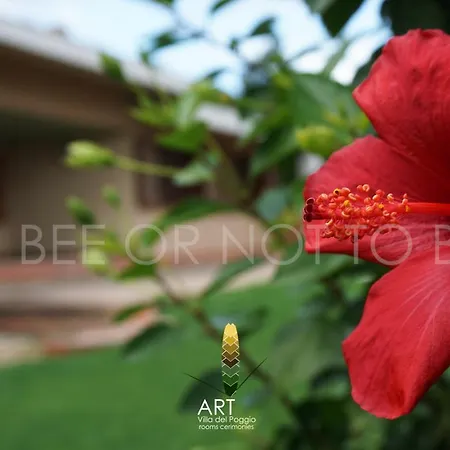 Art Del Poggio ゲストハウス