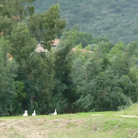 Art Del Poggio