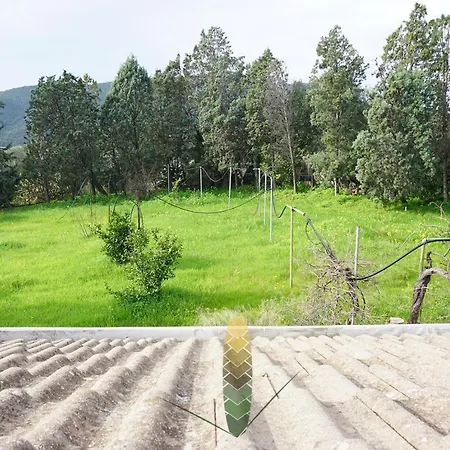 ゲストハウス Art Del Poggio カポテッラ