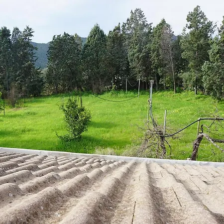 Art Del Poggio ゲストハウス