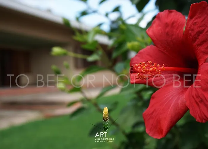 Art Del Poggio Vendégház